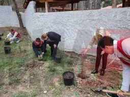 Кавадарци пошумување